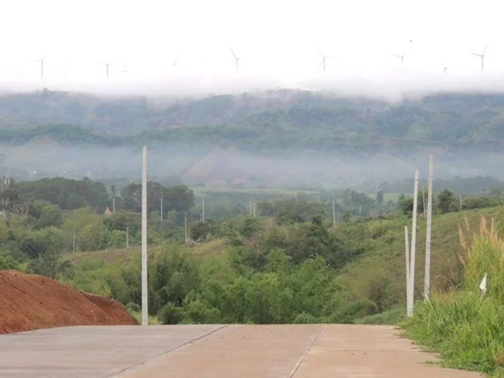 ขายที่ดินเปล่า เขาค้อ เพชรบูรณ์ มีโฉนด ตั้งอยู่บนเขา