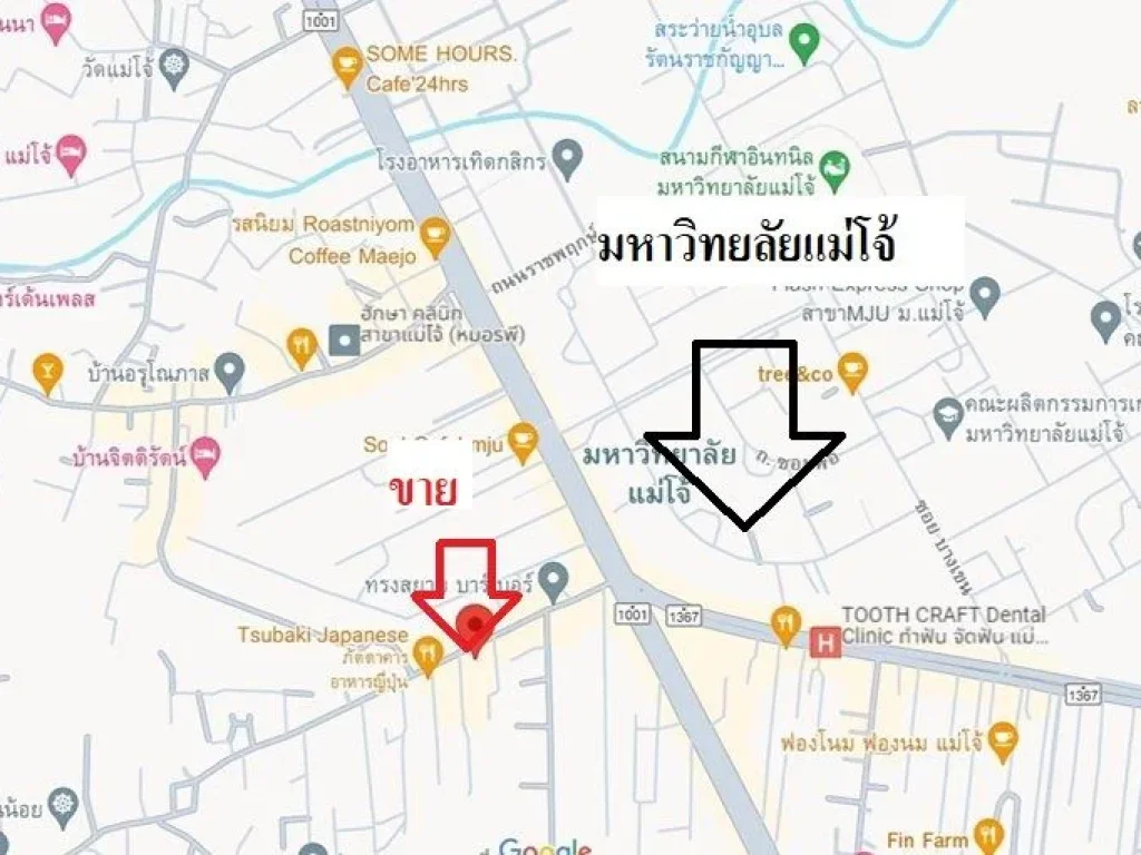 ขายบ้านร้านขายของที่ดินติดถนนใกล้มหาวิทยลัยแม่โจ้ 1 กม