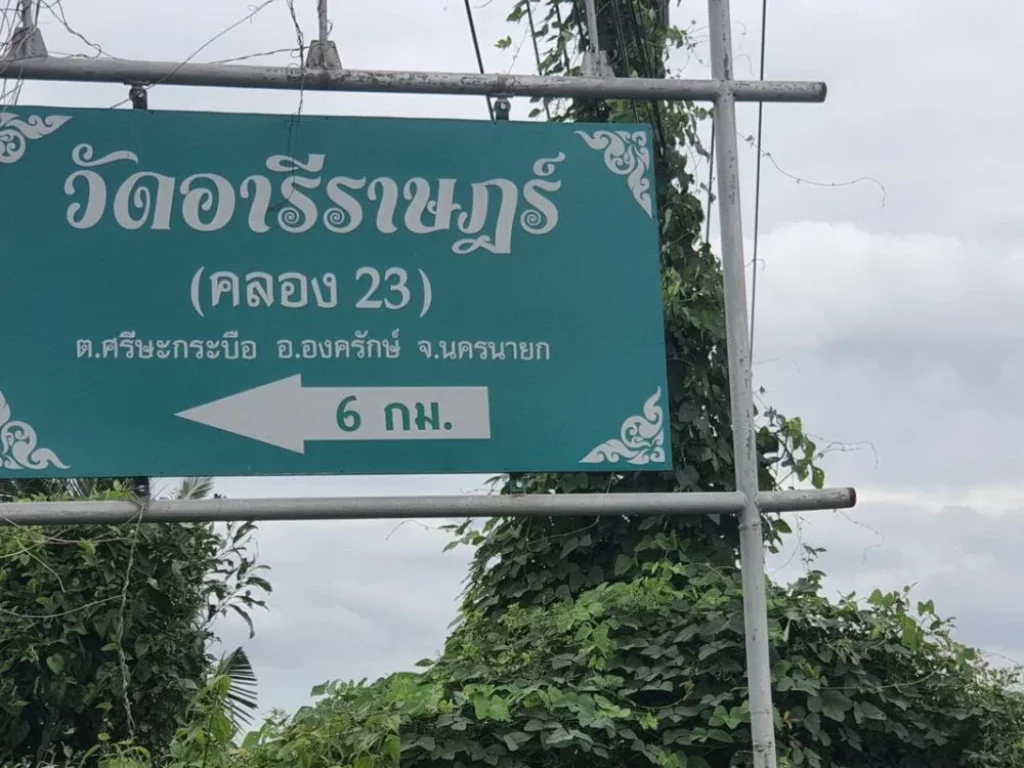 ขายที่ดินคลอง 23 ถองครักษ์-บางน้ำเปรี้ยว นครนายก