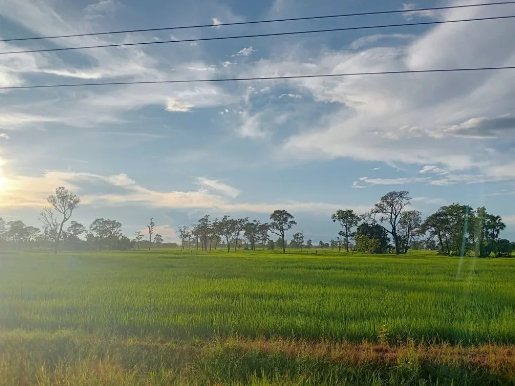 ขายไม่ด่วน เพราะที่สวยมากขายที่ดินบุรีรัมย์ อหนองกี่