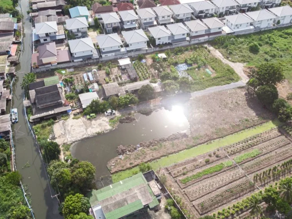 ขายที่ดิน บางใหญ่ 2ไร่ ติดถนนคอนกรีต ใกล้ถนนกาญจนาภิเษก