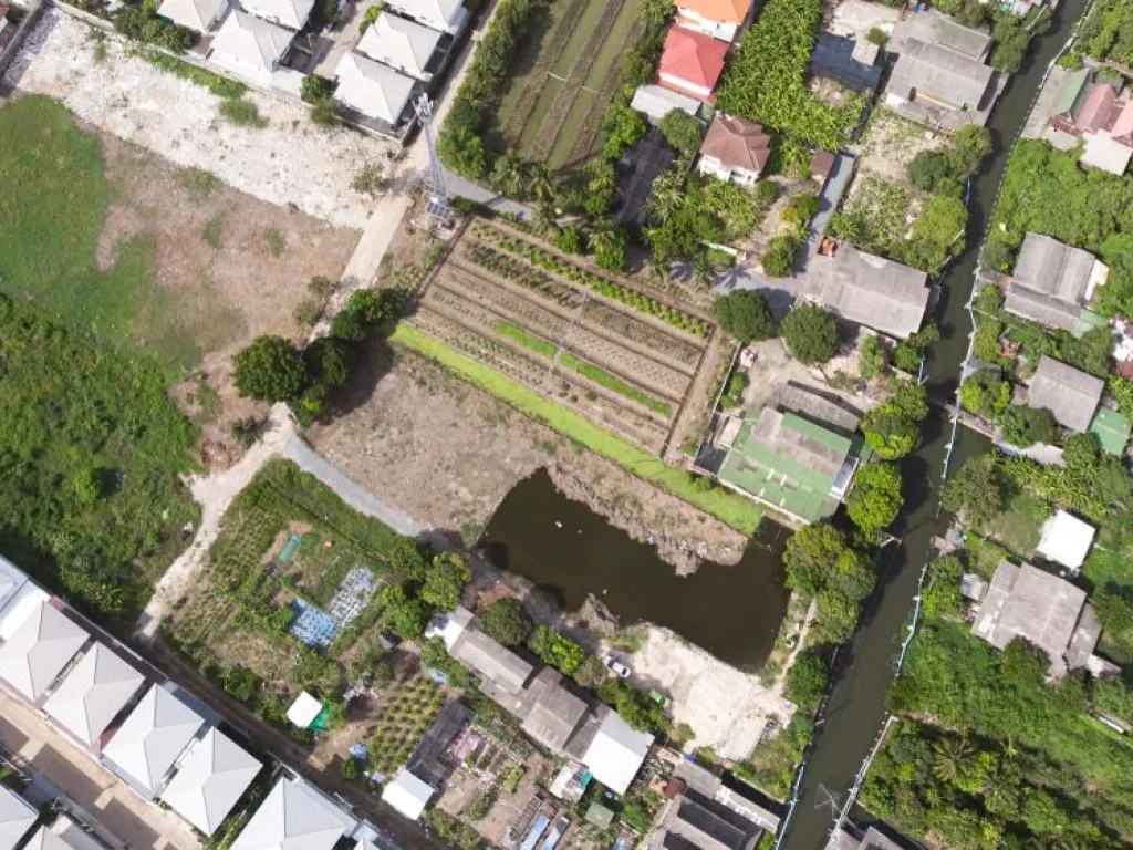 ขายที่ดิน บางใหญ่ 2ไร่ ติดถนนคอนกรีต ใกล้ถนนกาญจนาภิเษก