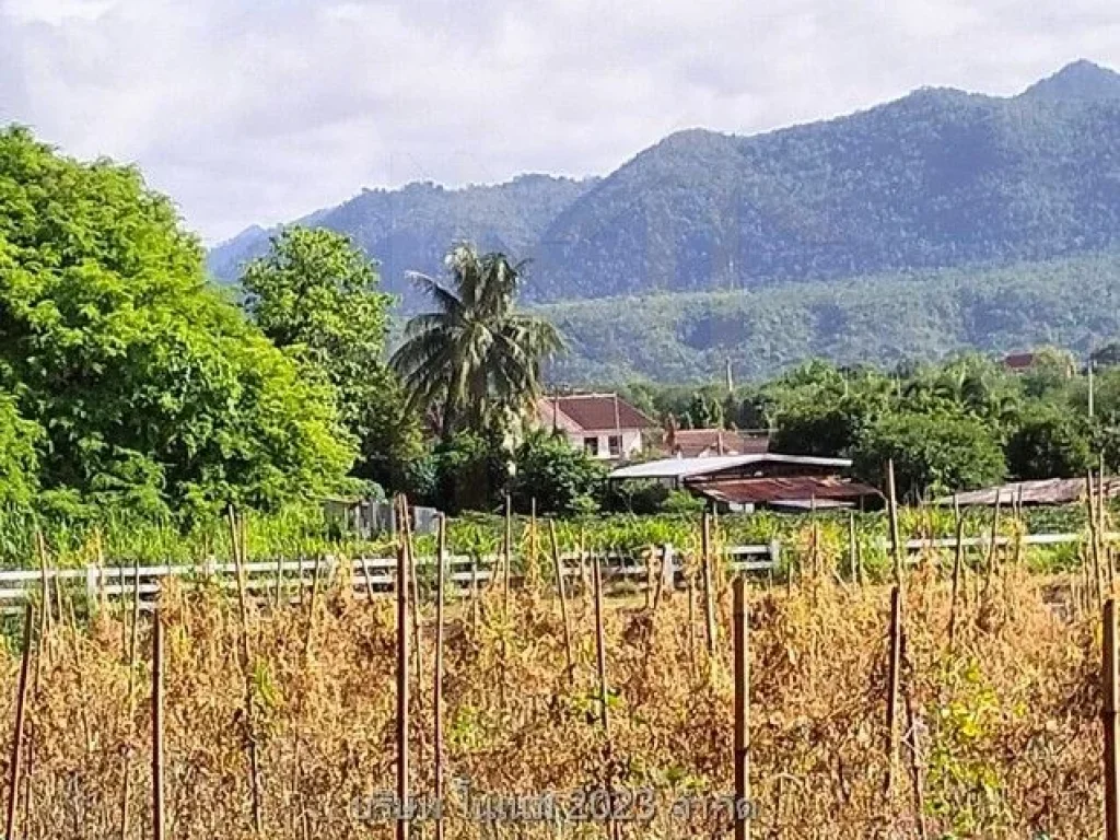 ขายที่ดินพื้นงามเป็นโฉนดทั้งหมดติดแม่น้ำ