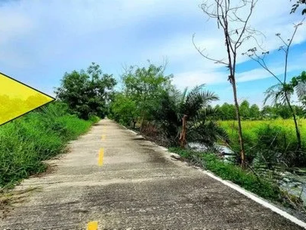 ขายที่ดินคลอง10 หนองเสือ 362 ตรวติดถนนคอนกรีต มีไฟฟ้า มีประปา