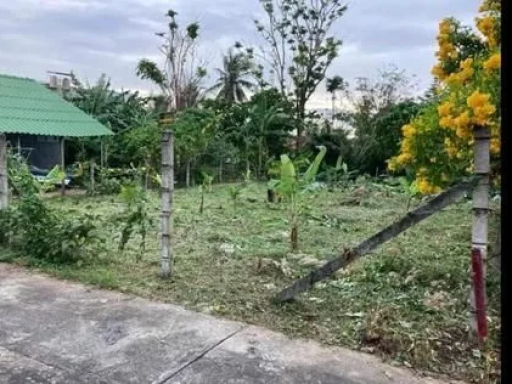 ดีลพิเศษสุด ขายที่ดิน กะกัน ขนาด 84 ตรว ราคาขาย 165 ล้าน