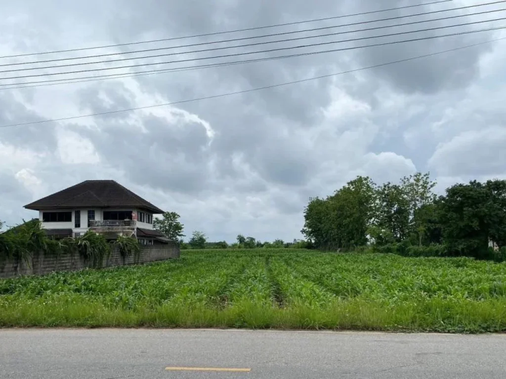 ขายที่ดินทำเลสวย วิวดอยนางนอน ถ้ำหลวง ตแม่ไร่ อแม่จัน