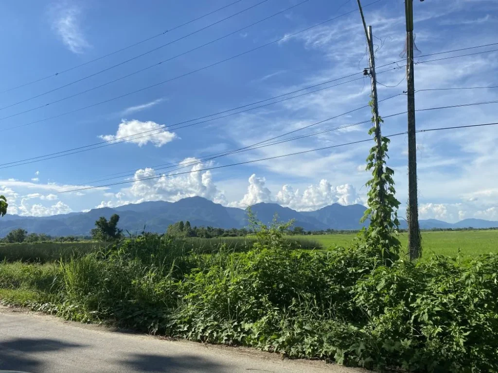 ขายที่ดินทำเลสวย วิวดอยนางนอน ถ้ำหลวง ตแม่ไร่ อแม่จัน