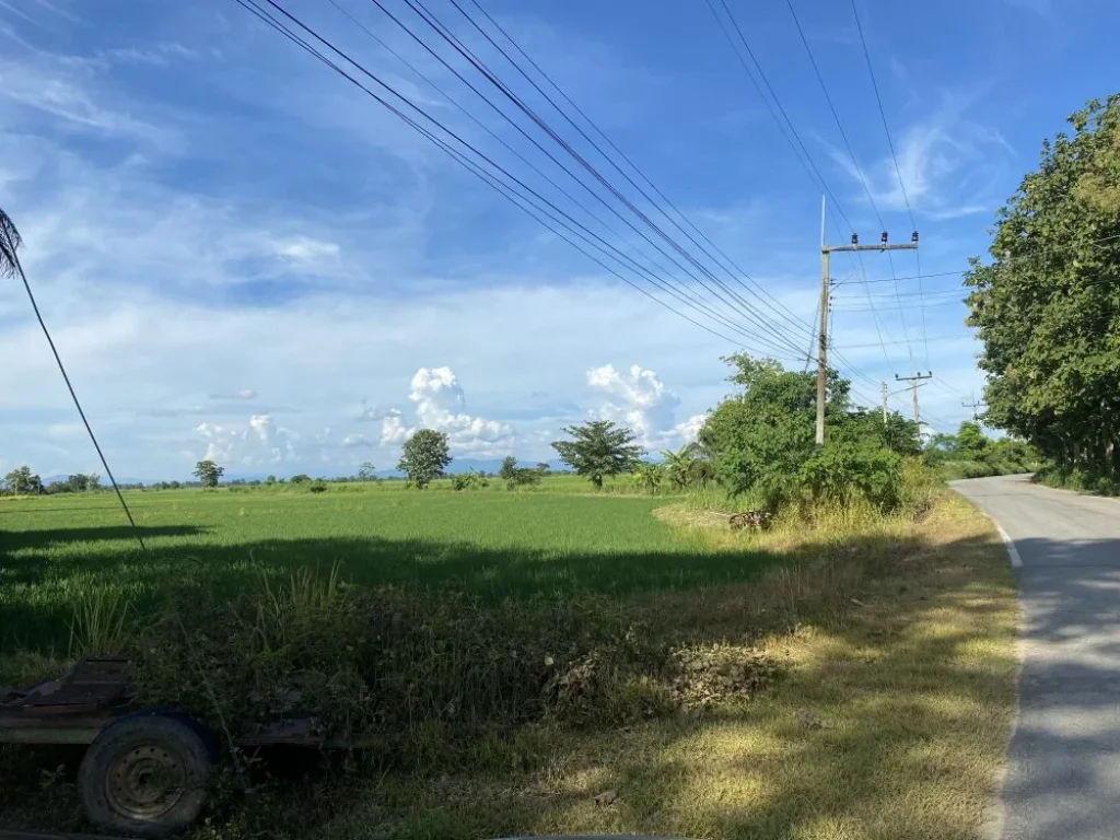 ขายที่ดินทำเลสวย วิวดอยนางนอน ถ้ำหลวง ตแม่ไร่ อแม่จัน