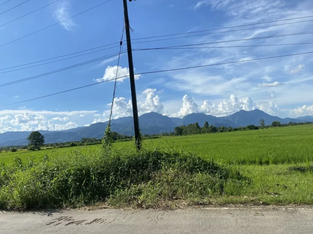 ขายที่ดินทำเลสวย วิวดอยนางนอน ถ้ำหลวง ตแม่ไร่ อแม่จัน