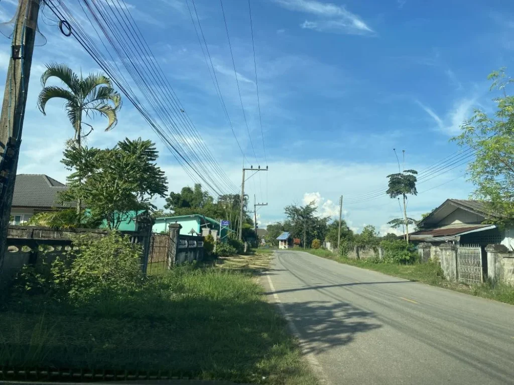 ขายที่ดินทำเลสวย วิวดอยนางนอน ถ้ำหลวง ตแม่ไร่ อแม่จัน