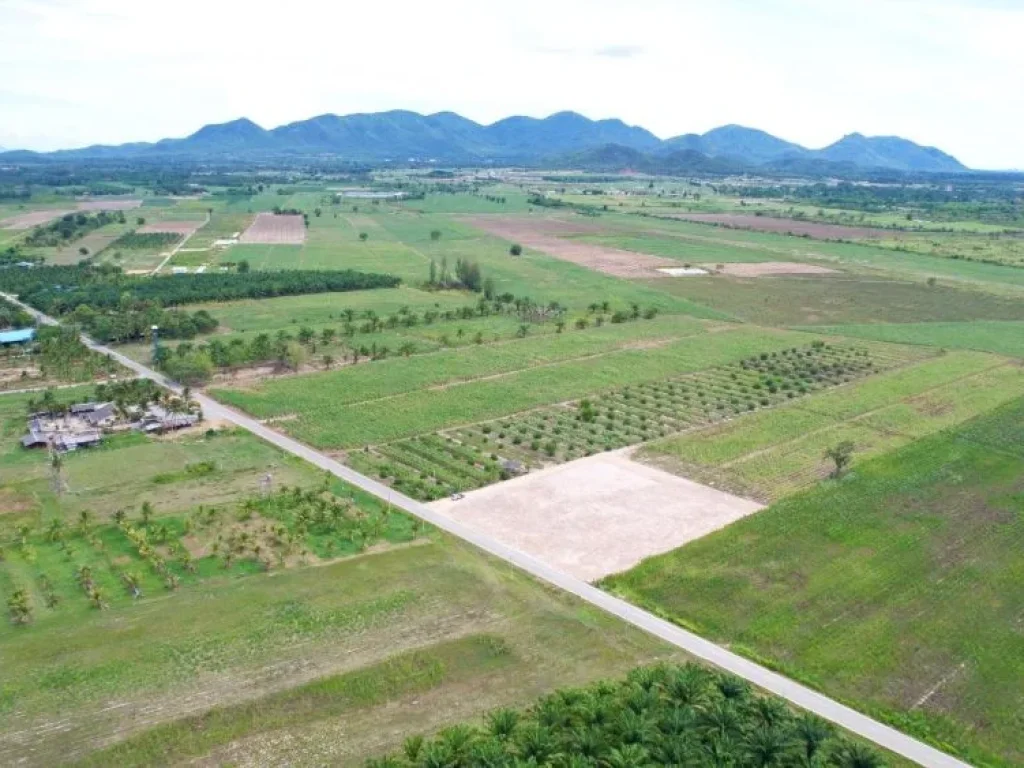 ขายที่ดินหนองขุ่น วิวเขา ติดถนนลาดยาง 200 ตรว ชะอำ เพชรบุรี