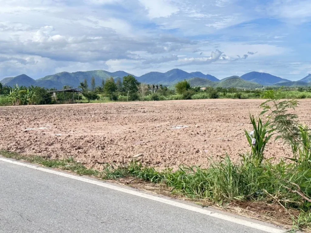 ขายที่ดินหนองขุ่น วิวเขา ติดถนนลาดยาง 200 ตรว ชะอำ เพชรบุรี