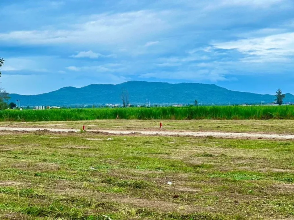 ขายที่ดินหนองขุ่น วิวเขา ติดถนนลาดยาง 200 ตรว ชะอำ เพชรบุรี