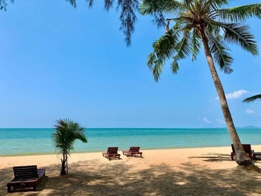 ให้เช่า คอนโด ไพน์ ชอร์ส Beachfront ขนาด 1515 ตรม 2 ห้องนอน