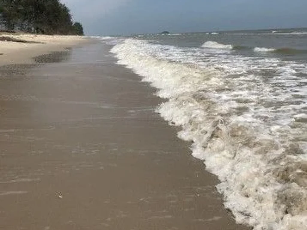 ที่ดินเปล่า อเทพา จสงขลา ติดถนน หาดใหญ่ - ปัตตานี