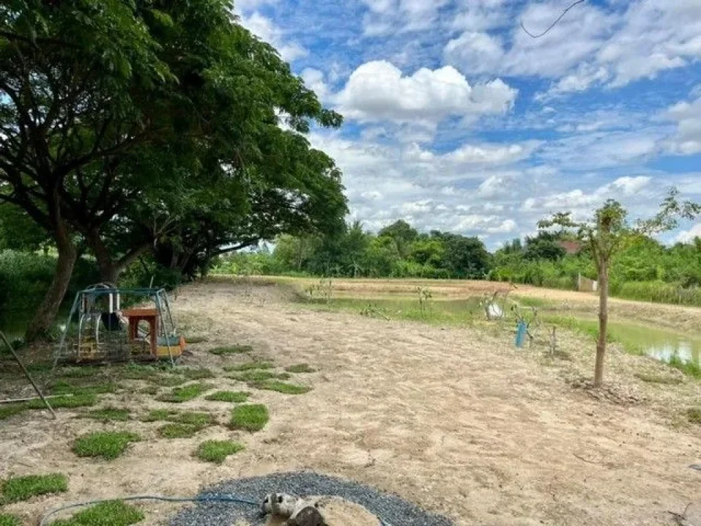 ขายและให้เช่า บ้านเรือนไทยติดถนนหลัก โซนหนองจ๊อม ใกล้รวมโชค