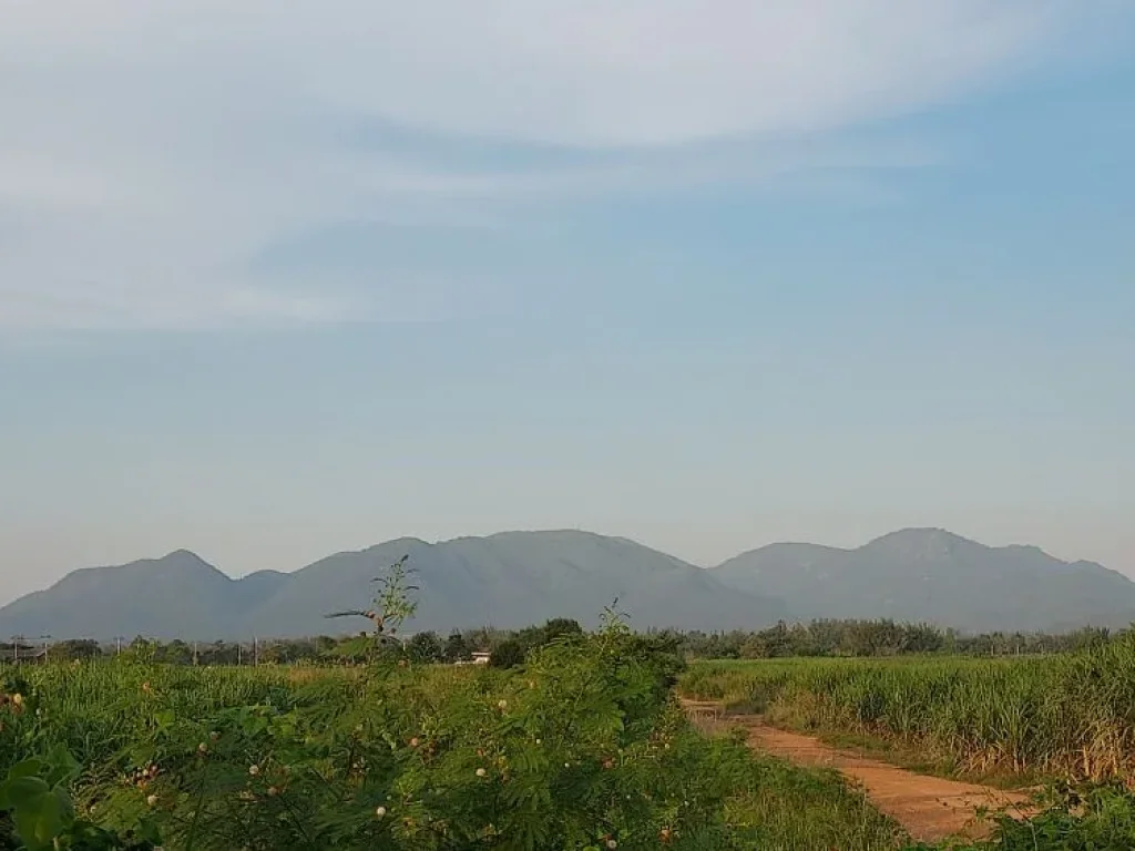 ที่ดินใกล้ทะเลชะอำ ชุมชนห้วยทรายเหนือ เพชรบุรี 1 ไร่ 5 แสน