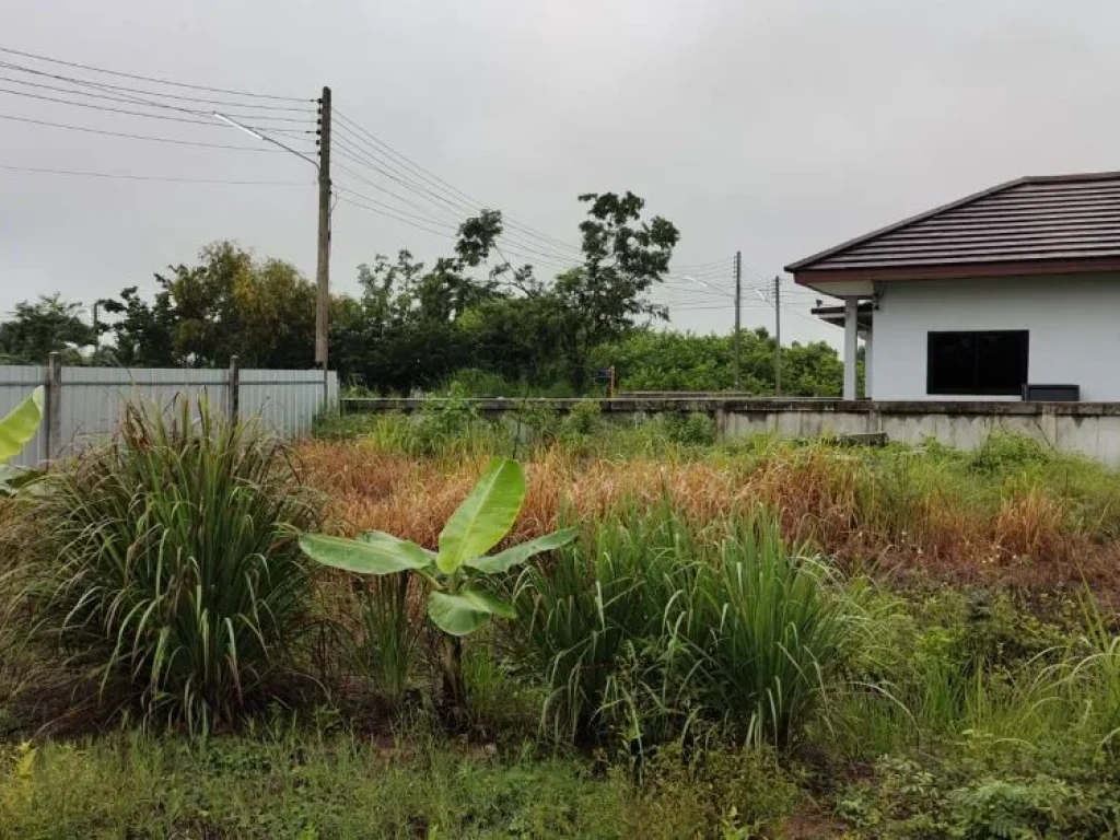 ขายที่ดิน เจ้าของขายเอง เหมาะสำหรับ บ้านพักอาศัย Pool Villa