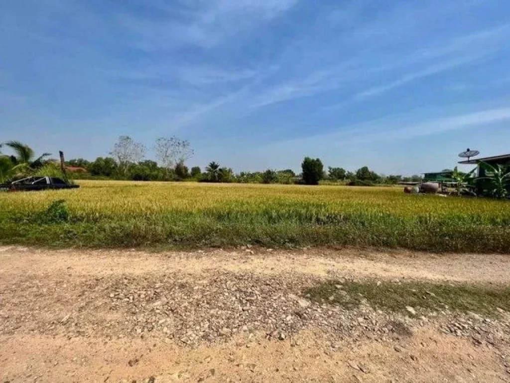 ที่ดิน คลอง8 หนองเสือ ซอยภุชงค์ ปทุมธานี ผ่อนได้ 1 ปี