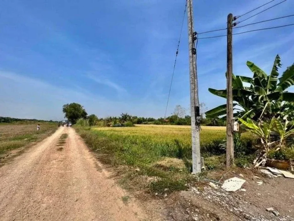 ที่ดิน คลอง8 หนองเสือ ซอยภุชงค์ ปทุมธานี ผ่อนได้ 1 ปี