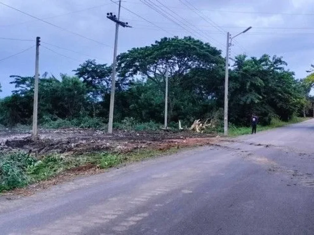 ที่ดินใกล้จุดเช็คอินคลอง11 หนองเสือ ปทุมธานี 2ไร่ฟรี 5 ตรว