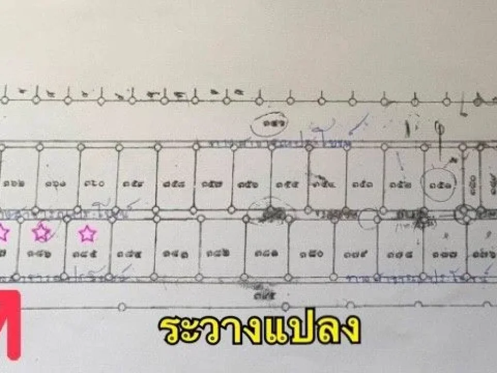 ที่ดินใกล้จุดเช็คอินคลอง11 หนองเสือ ปทุมธานี 2ไร่ฟรี 5 ตรว