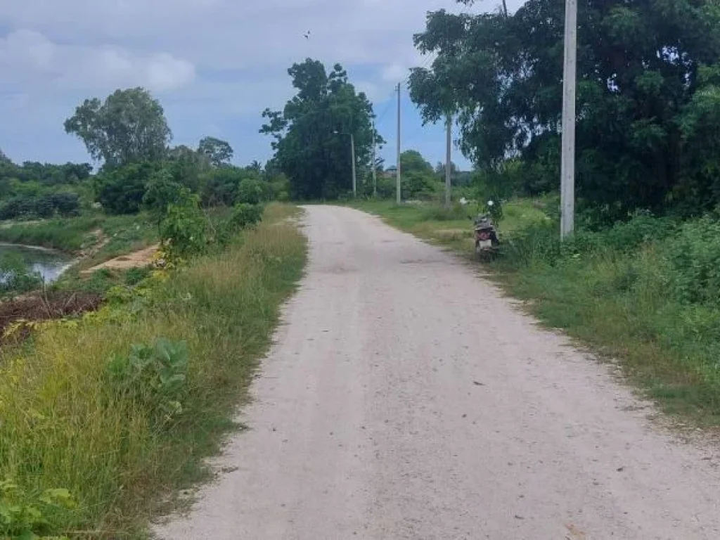 ขายบ้านเดี่ยว หมู่บ้านมัณฑนา บางใหญ่ นนทบุรี 626 ตรว หลังมุม