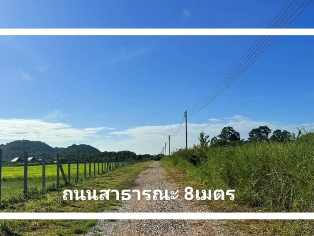 ที่ดินวิวเขาล้อมรอบ วิวเขาใหญ่ เนื้อที่ 10-3-91 ไร่