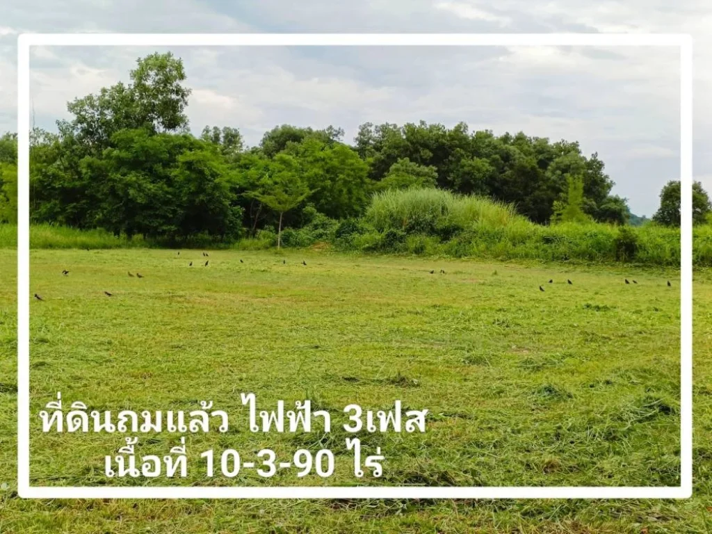 ที่ดินวิวเขาล้อมรอบ วิวเขาใหญ่ เนื้อที่ 10-3-91 ไร่