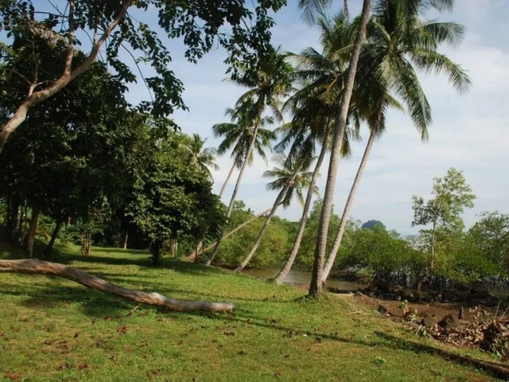 ขายที่ดินแปลงสวย ติดทะเล ตเกาะลันตาน้อย อเกาะลันตา จกระบี่