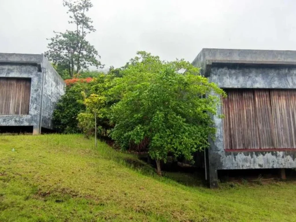 ขายที่ดินแปลงสวย ติดทะเล ตเกาะลันตาน้อย อเกาะลันตา จกระบี่