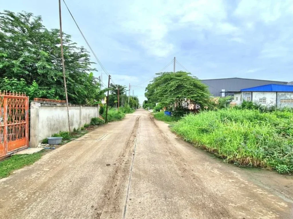 ขายที่ดิน ซชลมาร์คพิจารณ์ 2 ลำลูกกา คลอง 2 ถมแล้ว 1862 ตรว