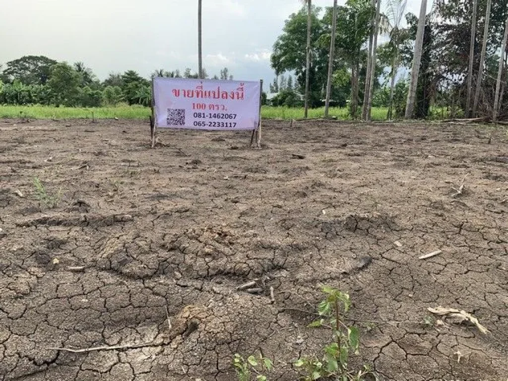 ขายที่ดินติดถนนซอยไอยรา 100 ตรว คลอง 12 หนองเสือ ปทุมธานี