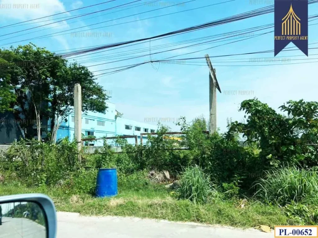 ขายที่ดิน 10 ไร่ รังสิต คลอง 2 คลองหลวง ปทุมธานี