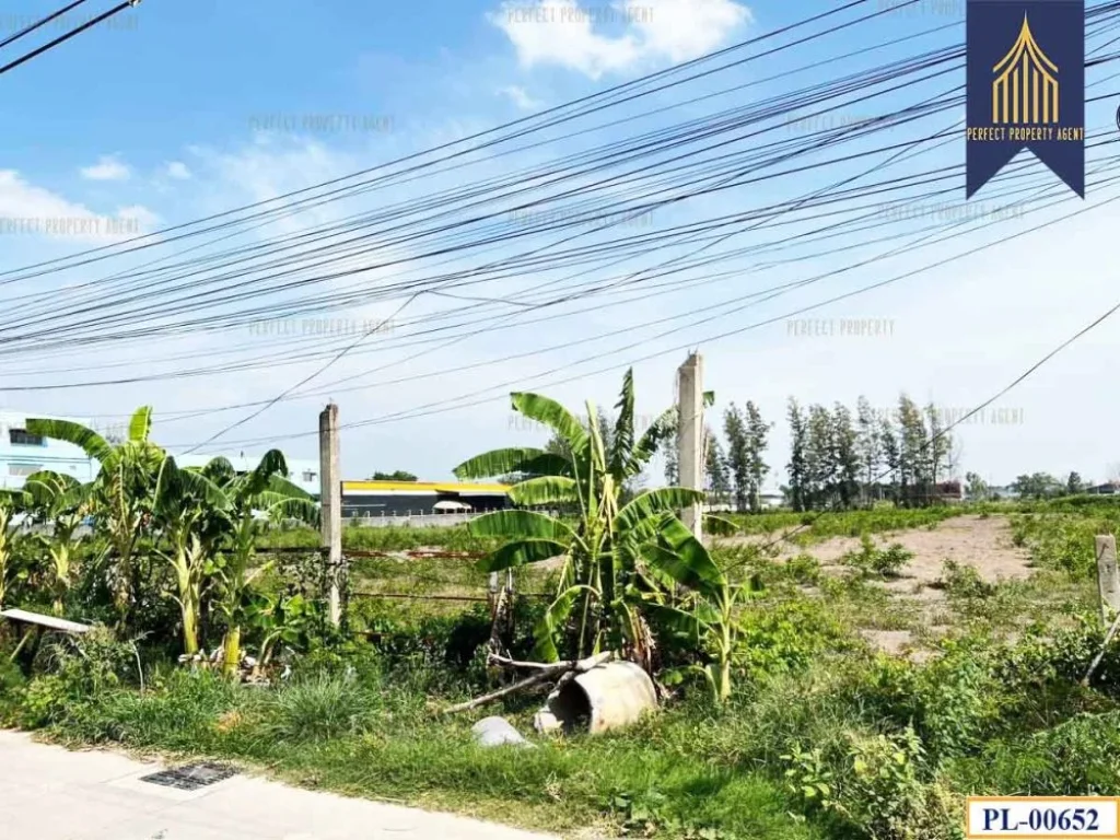 ขายที่ดิน 10 ไร่ รังสิต คลอง 2 คลองหลวง ปทุมธานี