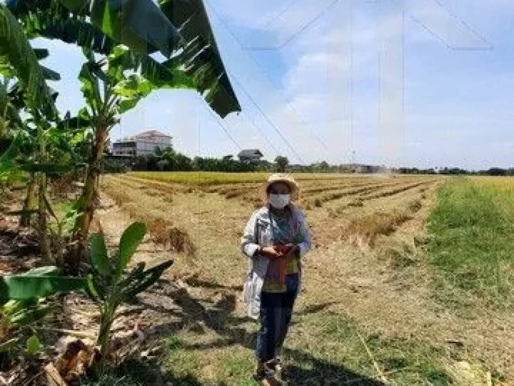 ขายที่ดินทำเลดี เจ้าของขายเอง ราคาต่อรองได้ ตำบลสามวาตะวันออก