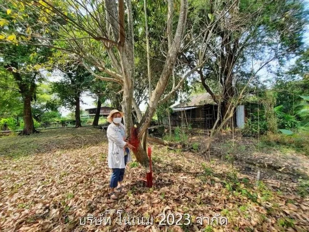 ขายที่ดินทำเลดี เจ้าของขายเอง ราคาต่อรองได้ ตำบลสามวาตะวันออก