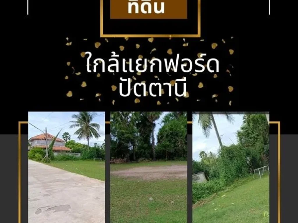 ด่วนที่ดิน ดอนรัก ปัตตานี เนื้อที่ 128 ตรว5 ห้องกว่า 