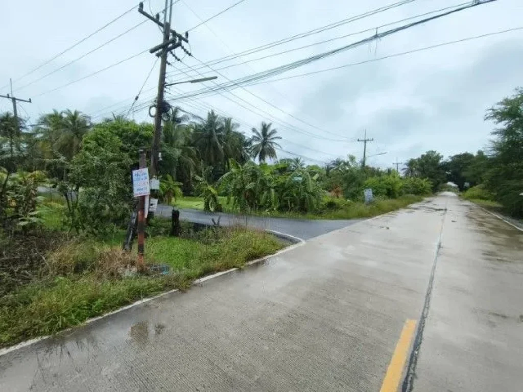 ขายที่ดินเปล่า คลอง11 ลำลูกกา ทำเลย่านพหลโยธิน เนื้อที่ 2 ไร่