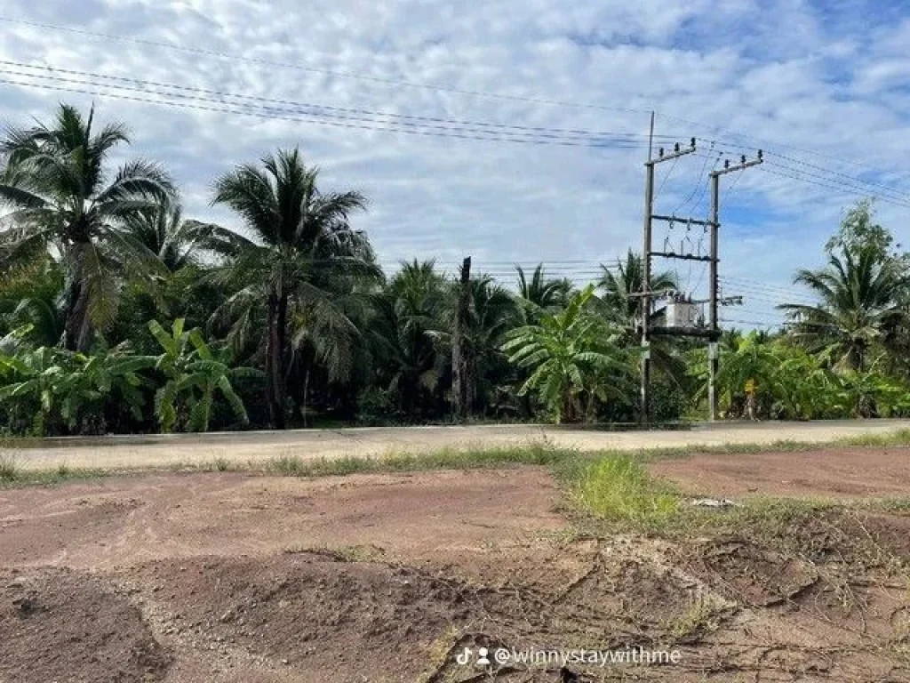 ขายที่ดิน ถนนรุ่งเกษตร 2ไร่ ตำบลบางยาง อำเภอกระทุ่มแบน