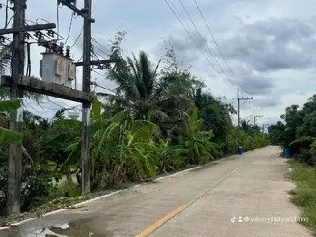 ขายที่ดิน ถนนรุ่งเกษตร 2ไร่ ตำบลบางยาง อำเภอกระทุ่มแบน