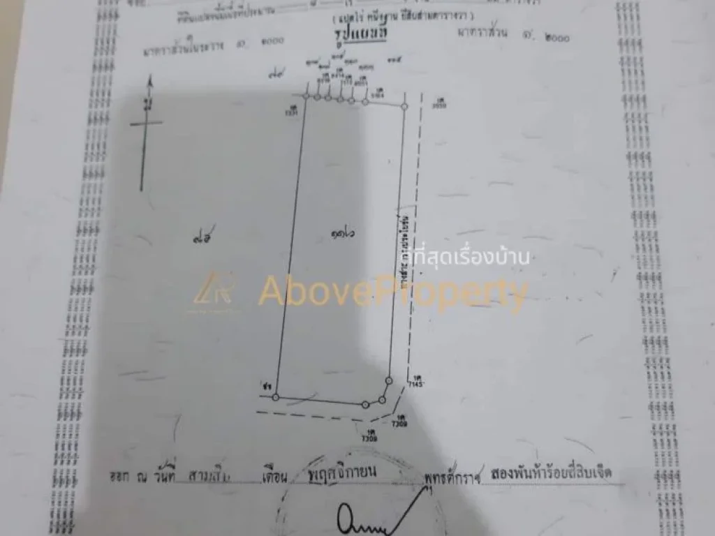 ขายที่ดินเปล่าพร้อมพืชผลในดิน จังหวัดเพชรบุรี ด่วน