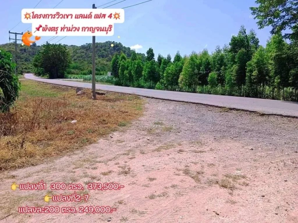 ขายที่ดินพังตรุ วิวเขา เริ่ม 200 ตรว ท่าม่วง กาญจนบุรี