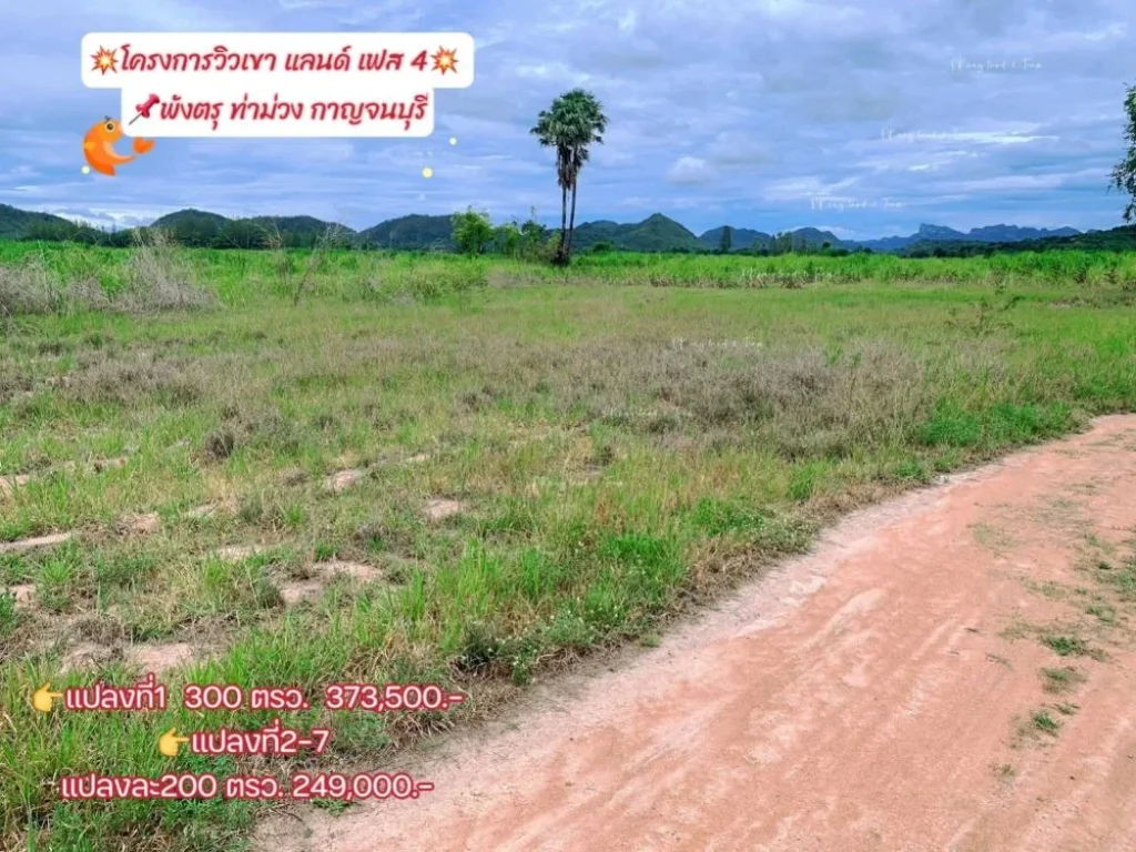 ขายที่ดินพังตรุ วิวเขา เริ่ม 200 ตรว ท่าม่วง กาญจนบุรี