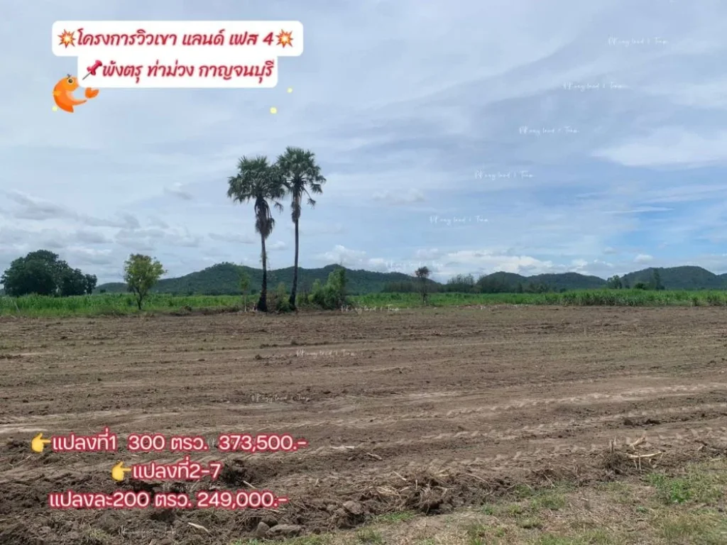 ขายที่ดินพังตรุ วิวเขา เริ่ม 200 ตรว ท่าม่วง กาญจนบุรี