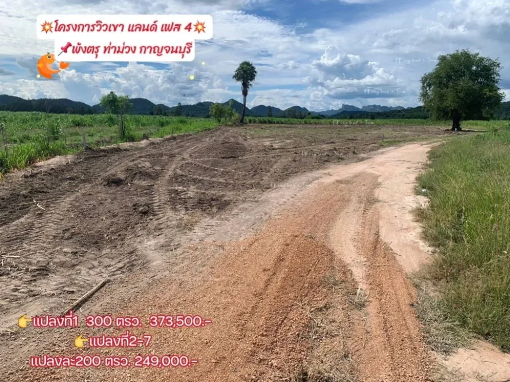 ขายที่ดินพังตรุ วิวเขา เริ่ม 200 ตรว ท่าม่วง กาญจนบุรี