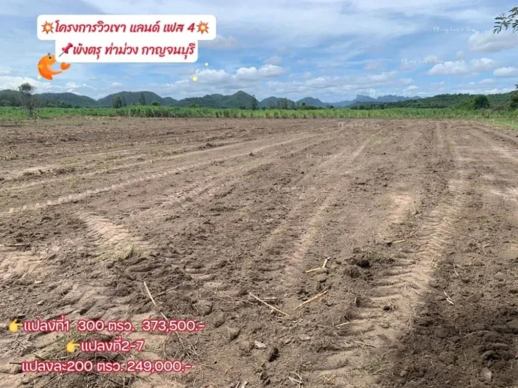 ขายที่ดินพังตรุ วิวเขา เริ่ม 200 ตรว ท่าม่วง กาญจนบุรี