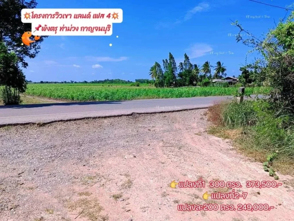 ขายที่ดินพังตรุ วิวเขา เริ่ม 200 ตรว ท่าม่วง กาญจนบุรี