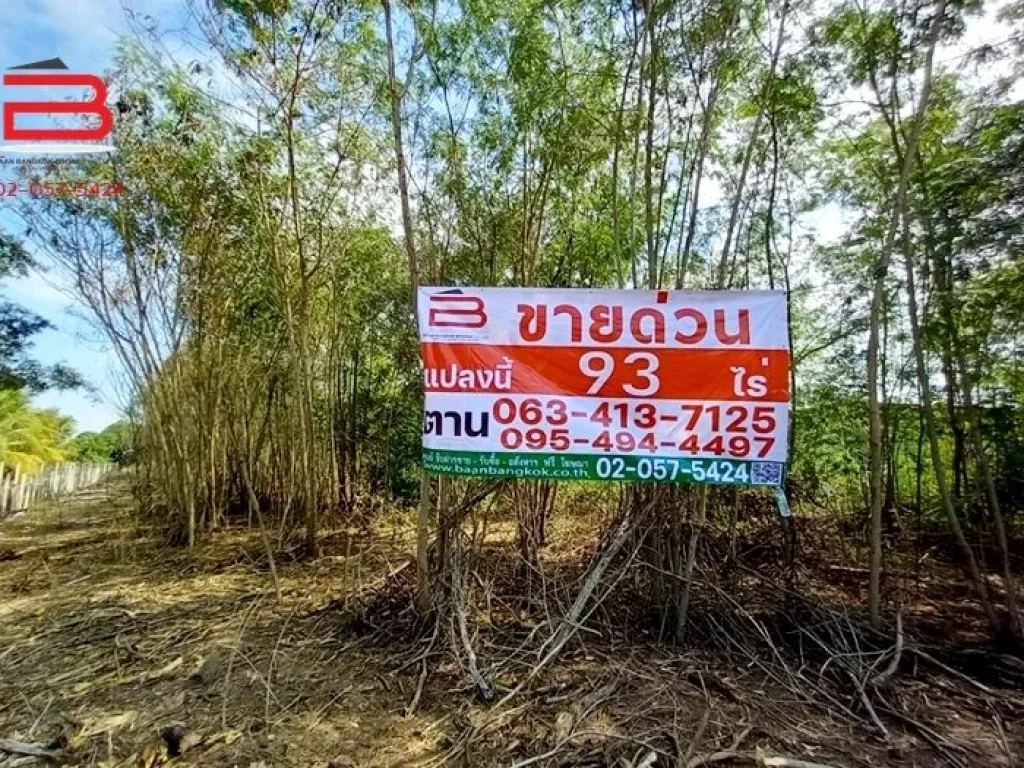 ที่ดินถมแล้ว ถนนคลองสิบ หนองเสือ เนื้อที่ 93 ไร่ อหนองเสือ