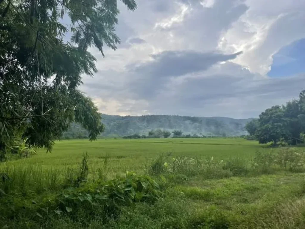 ขายที่ดินวิวดอยแม่แตงห่างถนนหลักเพียง 250เมตรพร้อมโอน